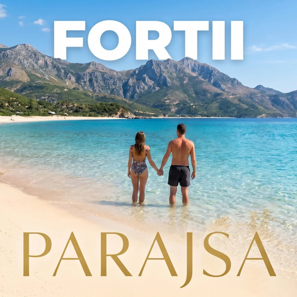 PARAJSA cover art